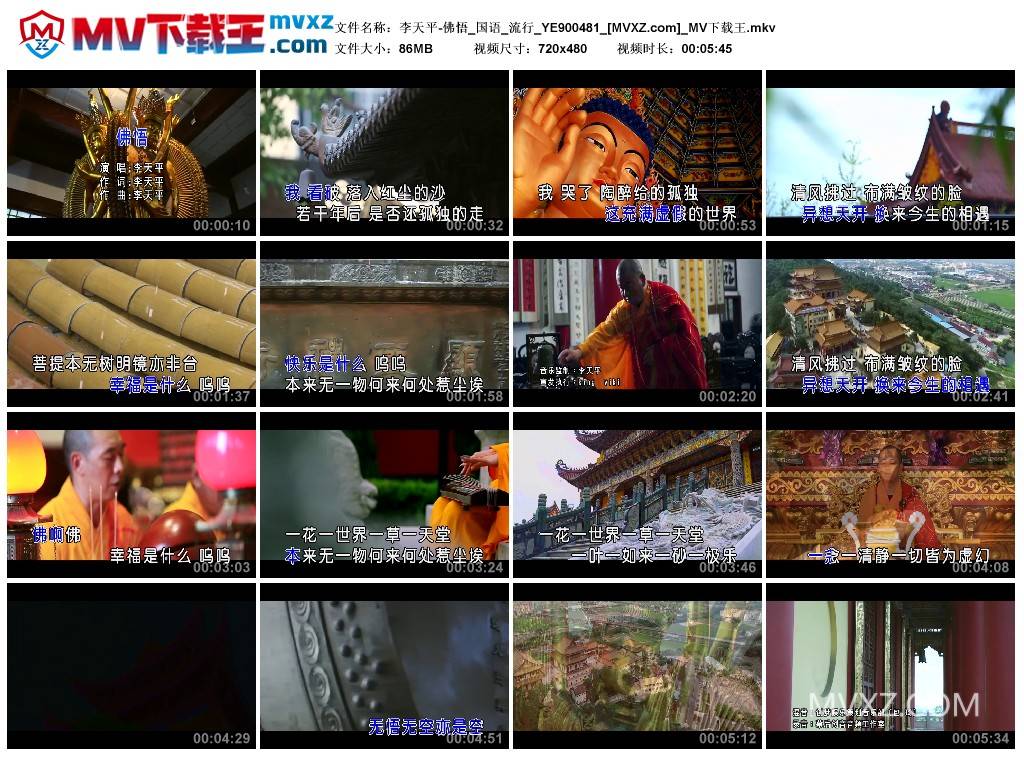 李天平-佛悟_国语_流行_YE900481